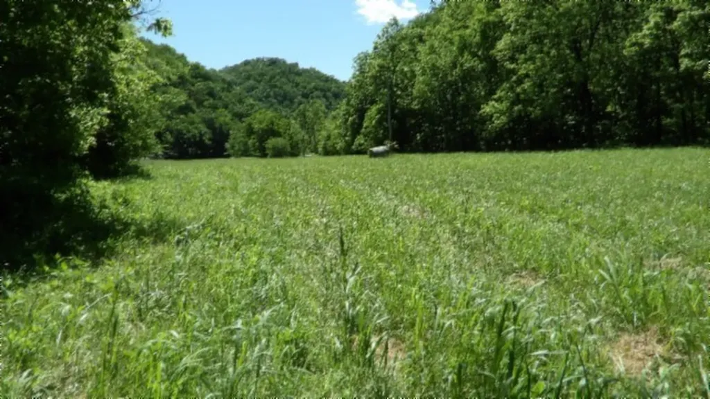5155 Brimestone Creek Road Moss TN 38575