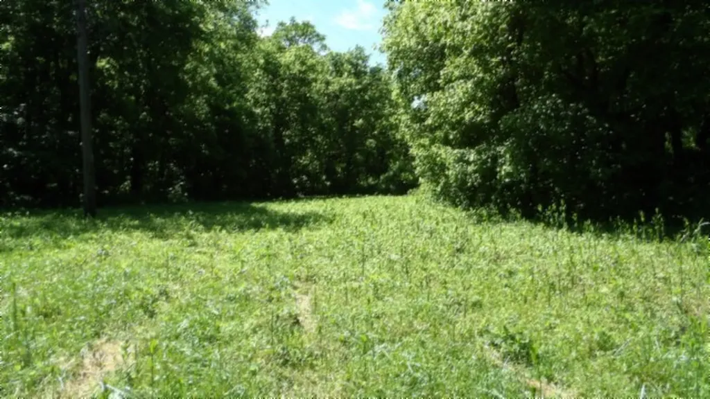 5155 Brimestone Creek Road Moss TN 38575