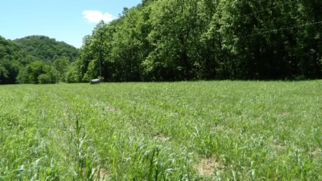 5155 Brimestone Creek Road Moss TN 38575