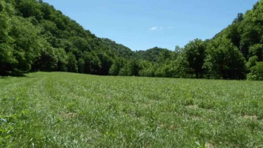 5155 Brimestone Creek Road Moss TN 38575