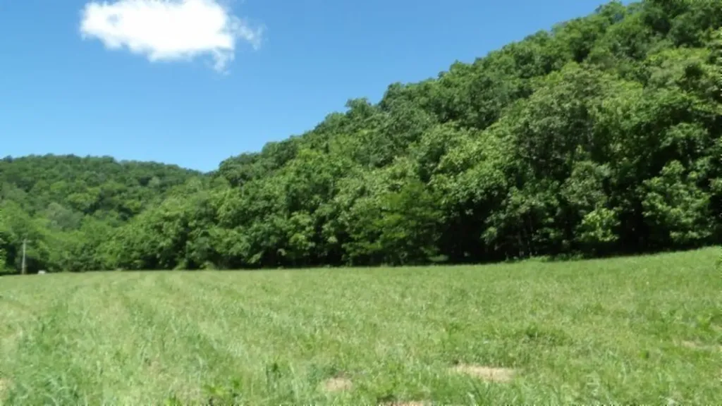 5155 Brimestone Creek Road Moss TN 38575