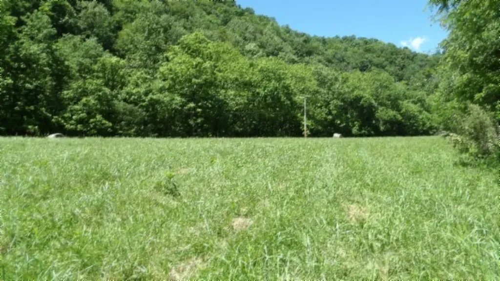 5155 Brimestone Creek Road Moss TN 38575