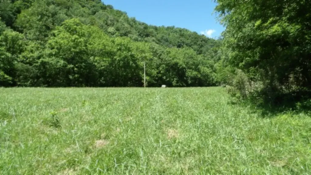 5155 Brimestone Creek Road Moss TN 38575