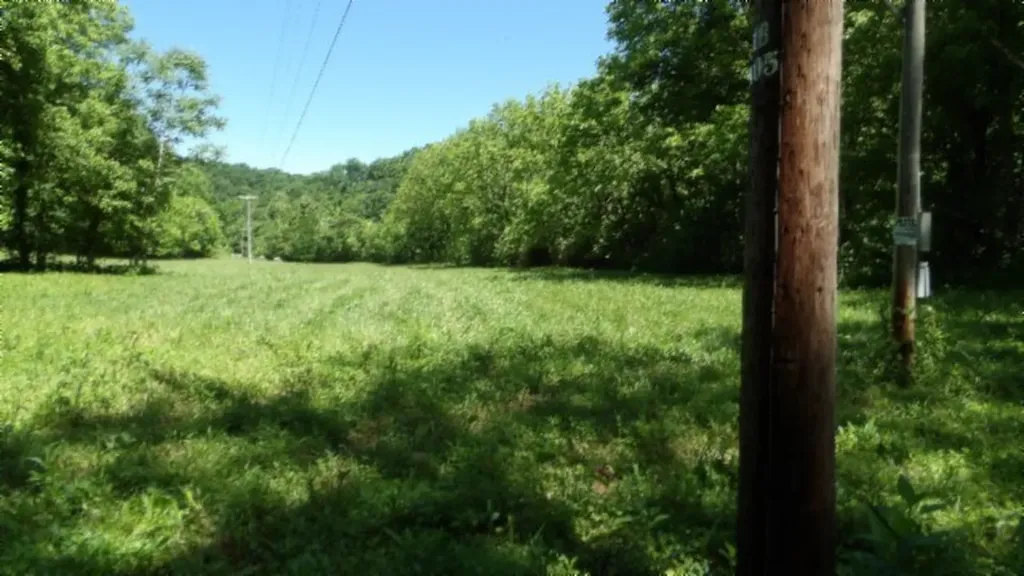 5155 Brimestone Creek Road Moss TN 38575