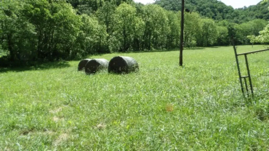 5155 Brimestone Creek Road Moss TN 38575