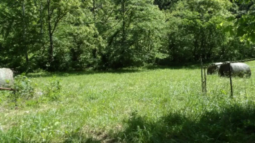 5155 Brimestone Creek Road Moss TN 38575