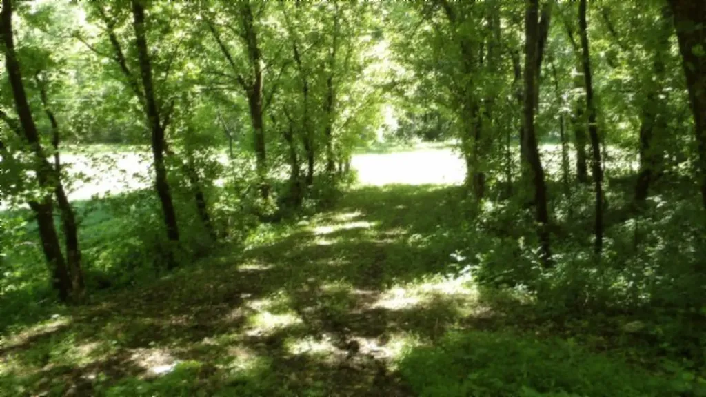 5155 Brimestone Creek Road Moss TN 38575
