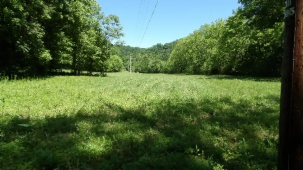5155 Brimestone Creek Road Moss TN 38575