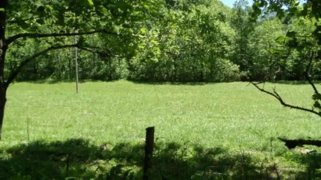 5155 Brimestone Creek Road Moss TN 38575