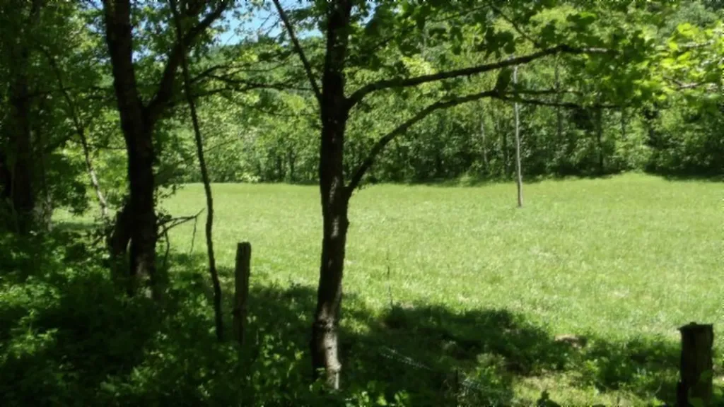 5155 Brimestone Creek Road Moss TN 38575