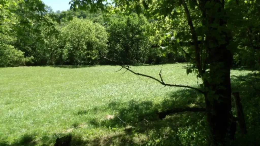5155 Brimestone Creek Road Moss TN 38575
