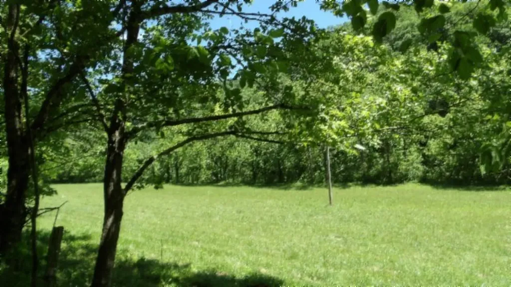 5155 Brimestone Creek Road Moss TN 38575
