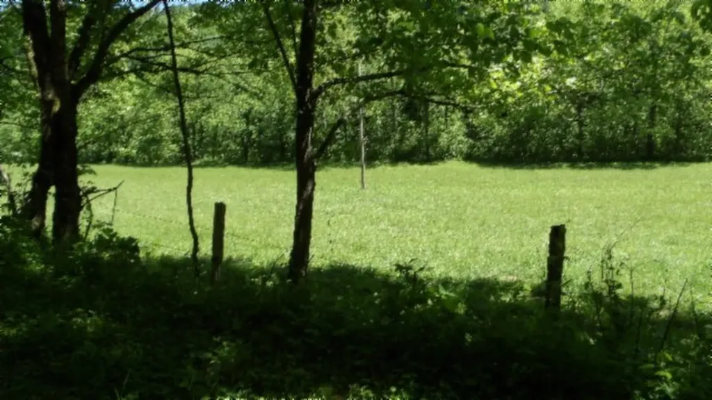5155 Brimestone Creek Road Moss TN 38575