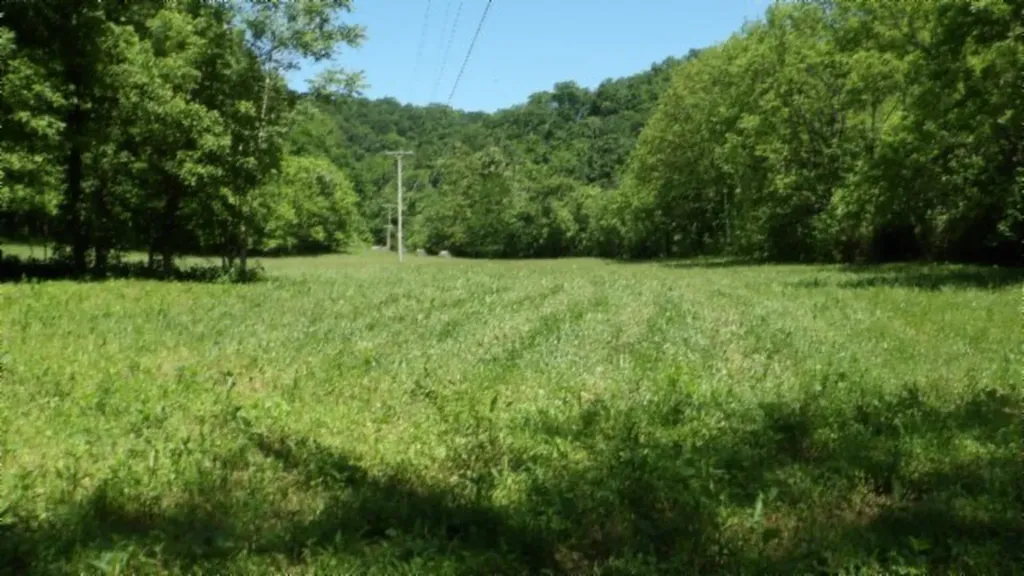 5155 Brimestone Creek Road Moss TN 38575