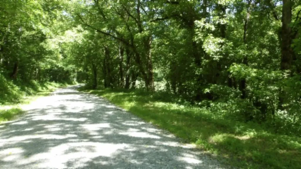 5155 Brimestone Creek Road Moss TN 38575