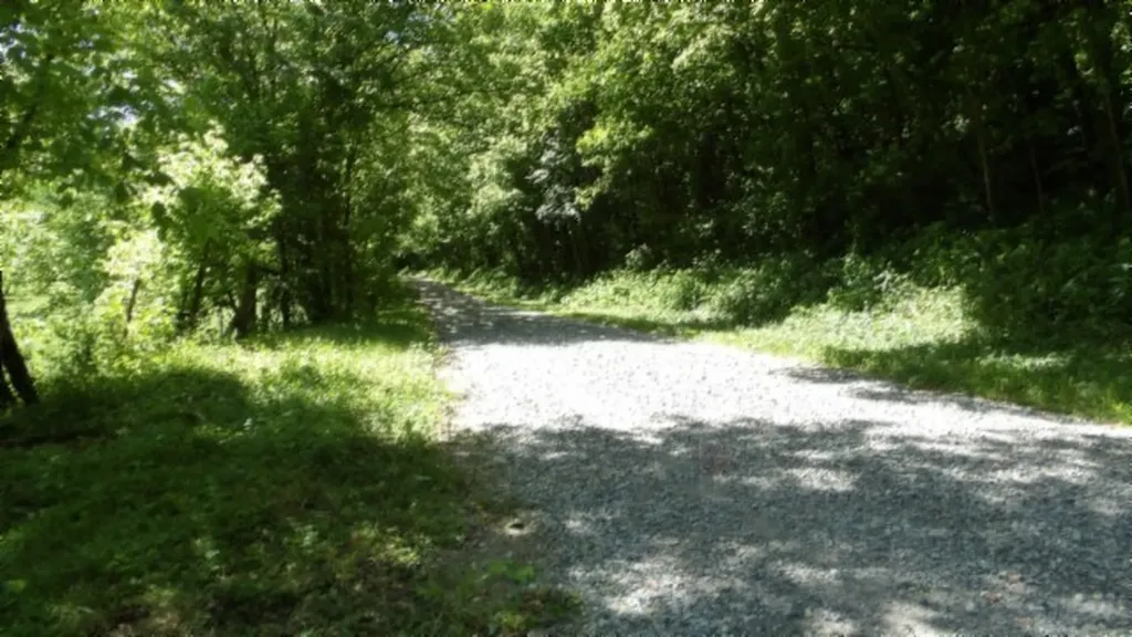 5155 Brimestone Creek Road Moss TN 38575
