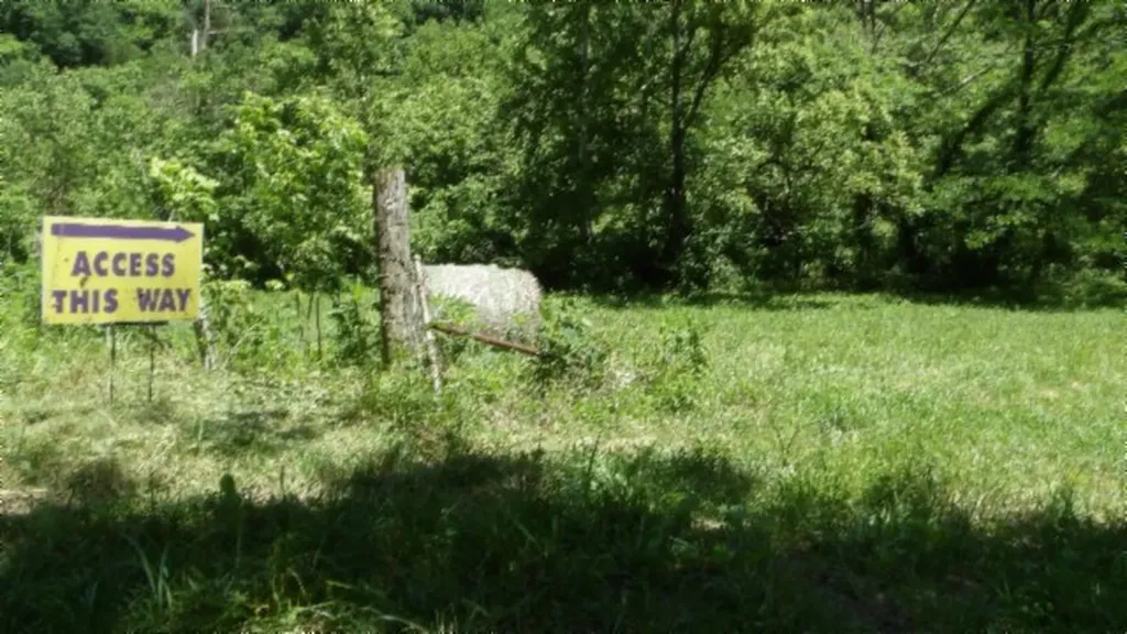 5155 Brimestone Creek Road Moss TN 38575
