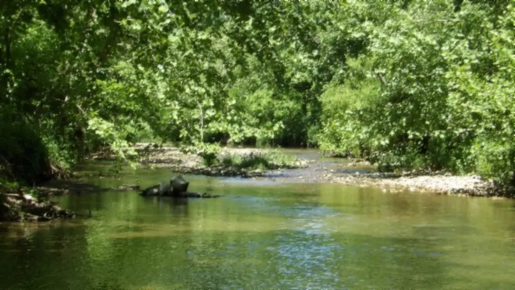 5155 Brimestone Creek Road Moss TN 38575