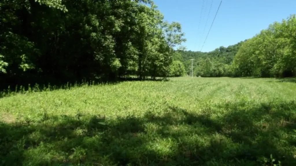 5155 Brimestone Creek Road Moss TN 38575