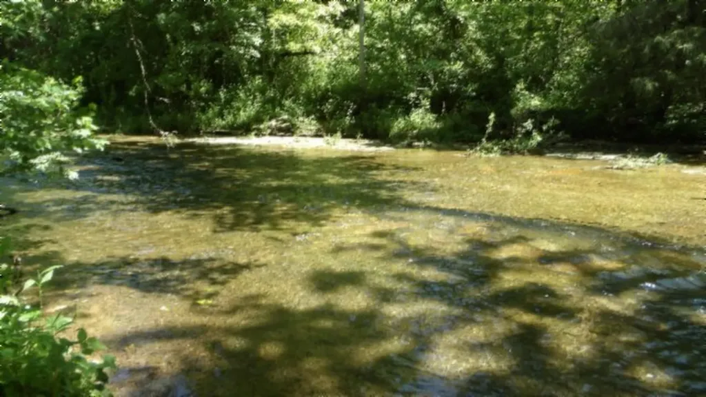 5155 Brimestone Creek Road Moss TN 38575