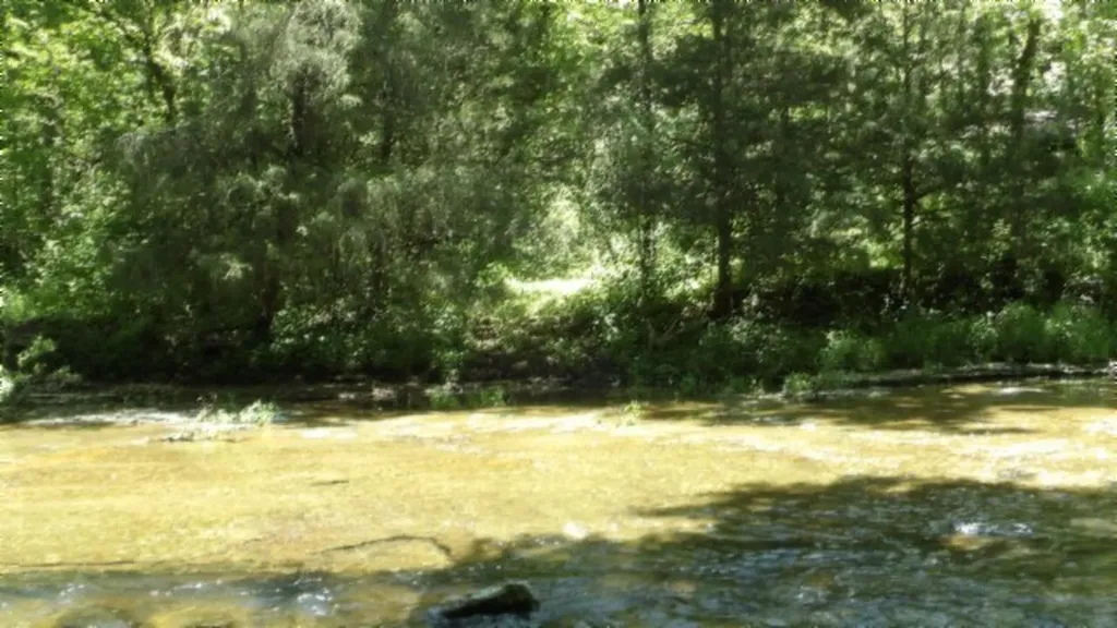 5155 Brimestone Creek Road Moss TN 38575