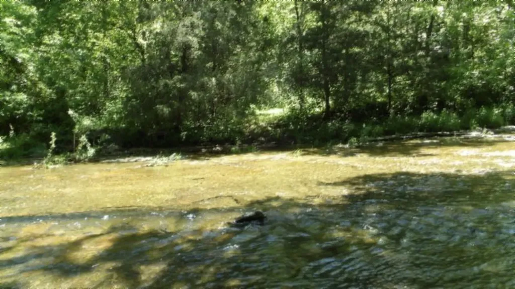 5155 Brimestone Creek Road Moss TN 38575