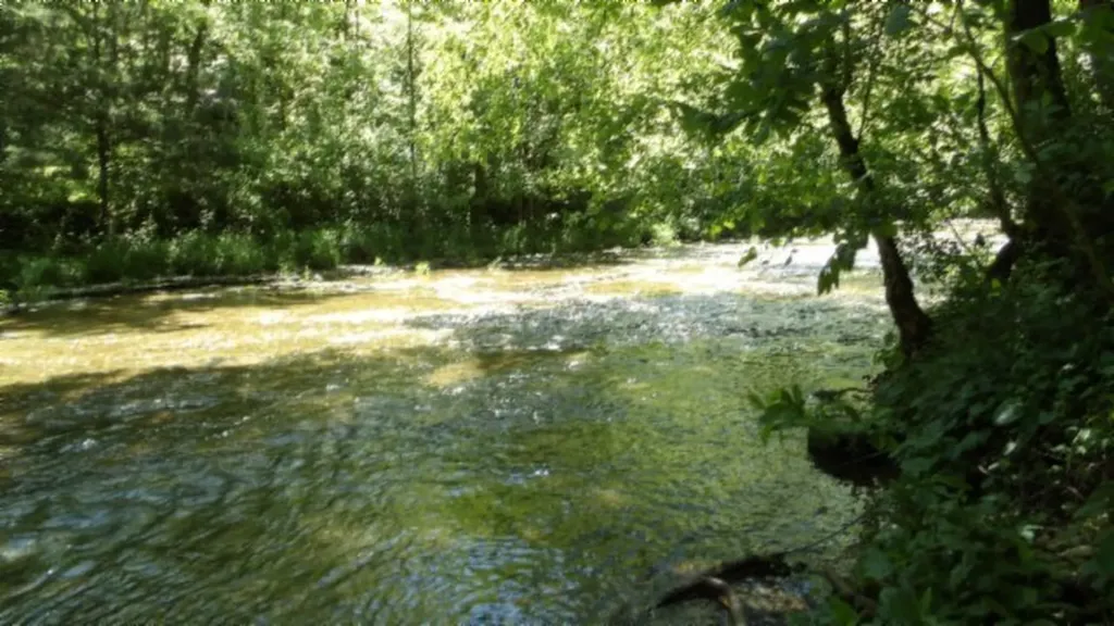 5155 Brimestone Creek Road Moss TN 38575