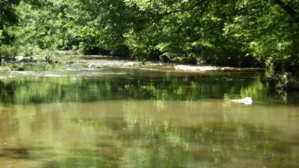 5155 Brimestone Creek Road Moss TN 38575