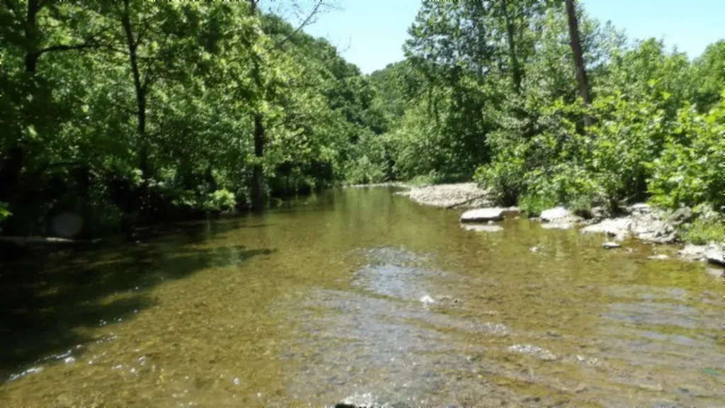 5155 Brimestone Creek Road Moss TN 38575