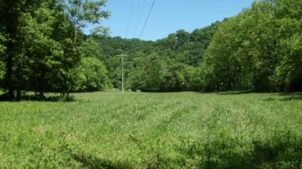 5155 Brimestone Creek Road Moss TN 38575