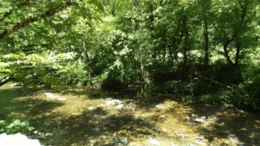 5155 Brimestone Creek Road Moss TN 38575