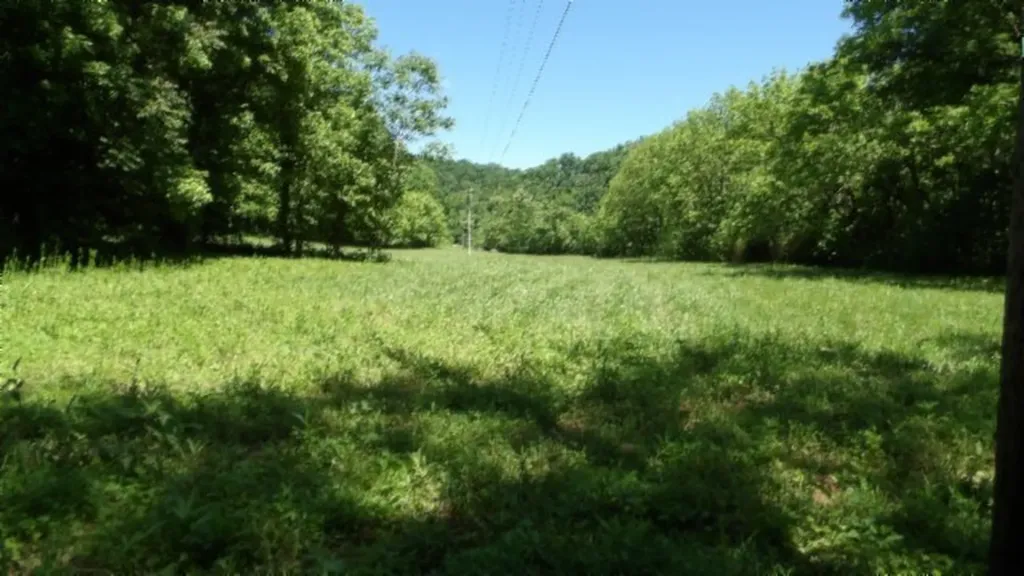 5155 Brimestone Creek Road Moss TN 38575