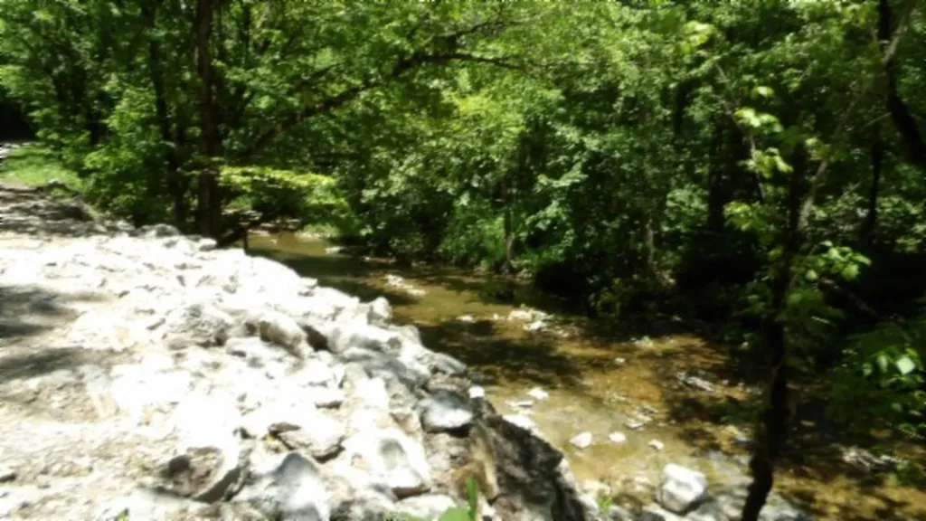 5155 Brimestone Creek Road Moss TN 38575