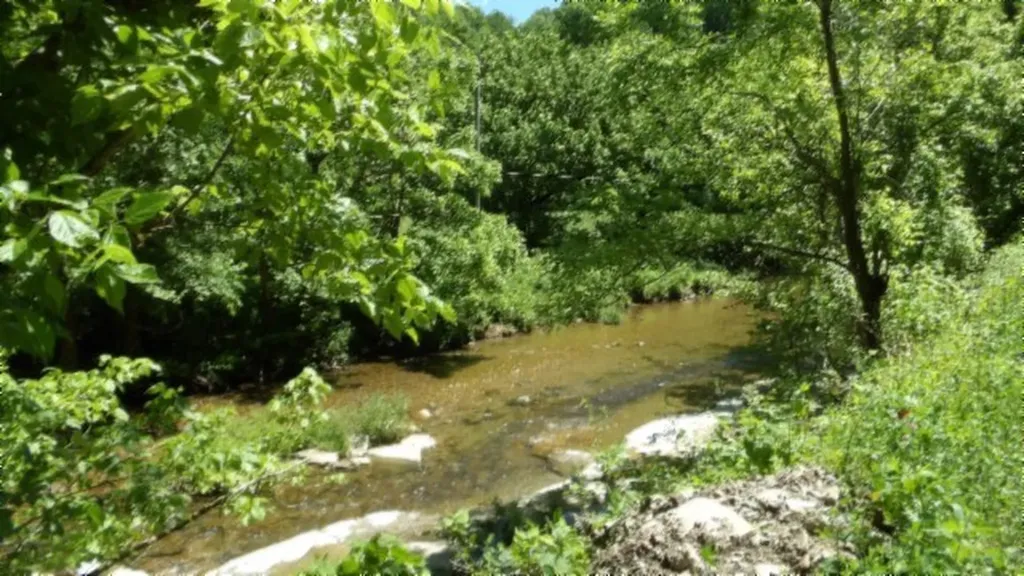 5155 Brimestone Creek Road Moss TN 38575