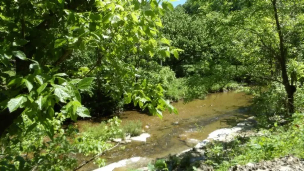 5155 Brimestone Creek Road Moss TN 38575