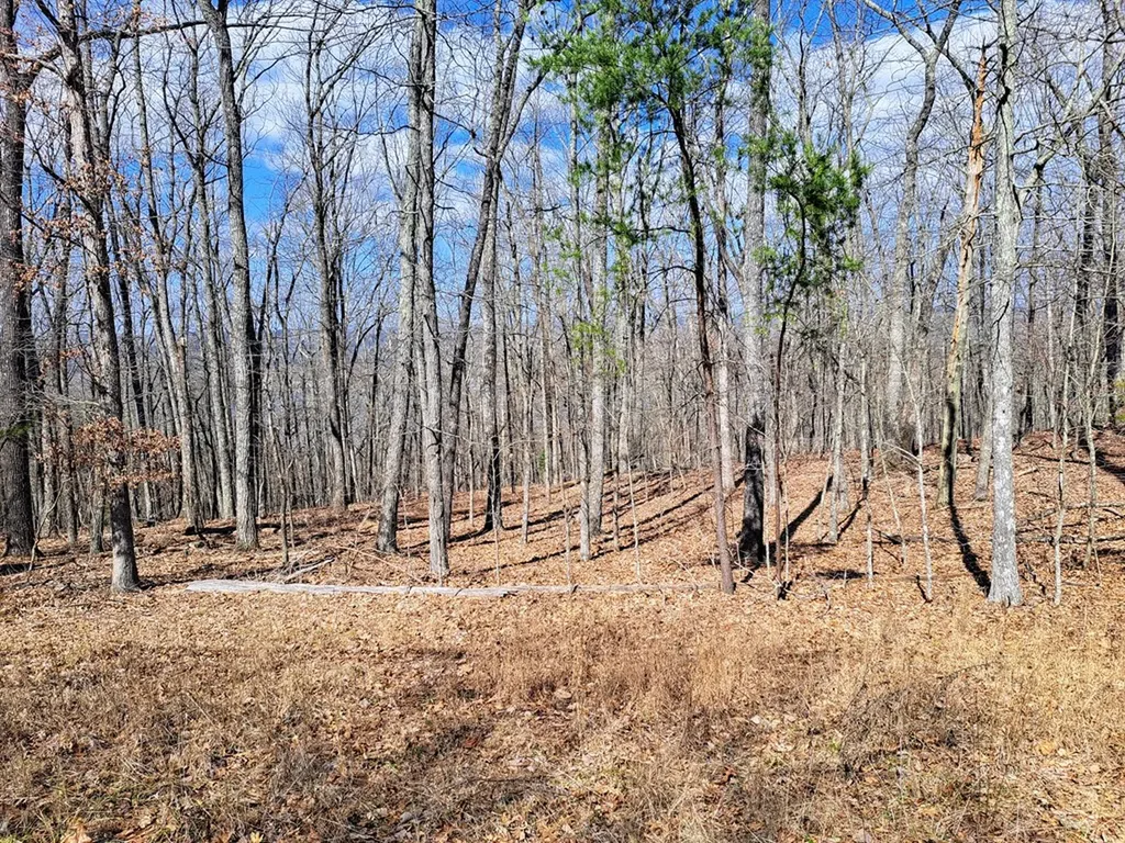 349 Rotherham Drive Crossville TN 38558
