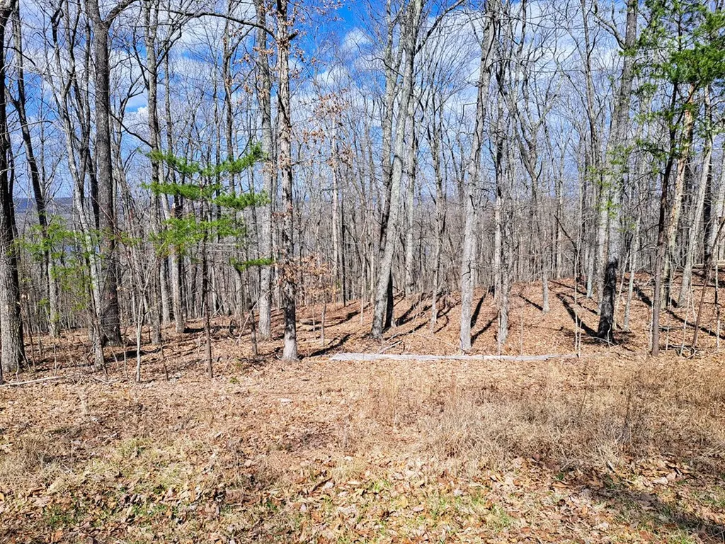349 Rotherham Drive Crossville TN 38558