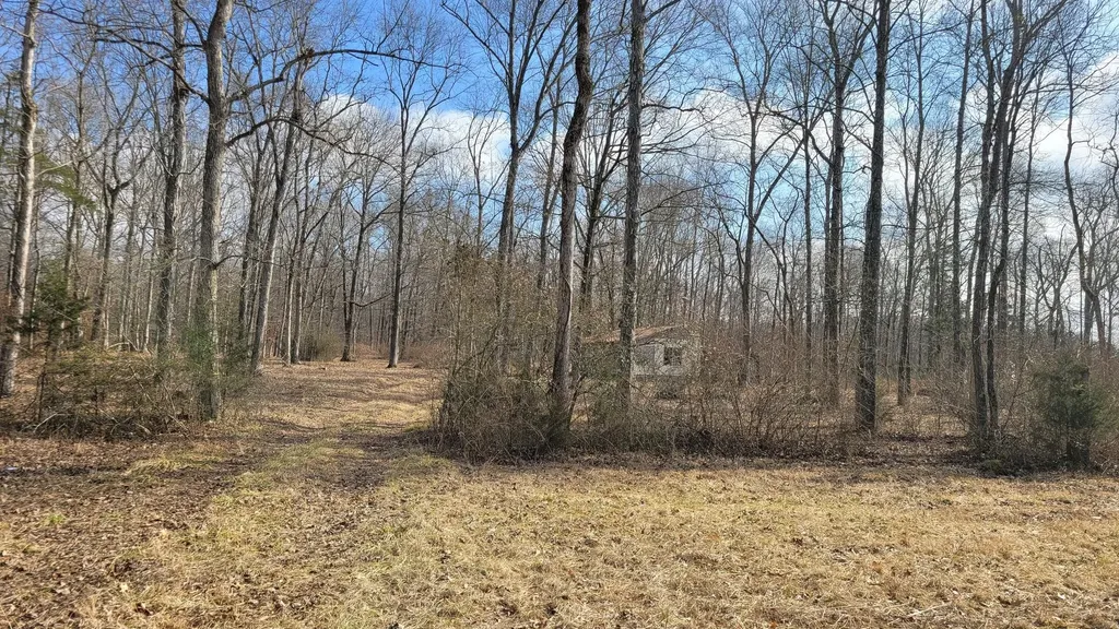 320 Pass Road Shelbyville TN 37160