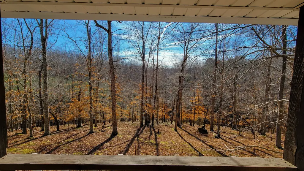 1678 Four Seasons Drive Smithville TN 37166