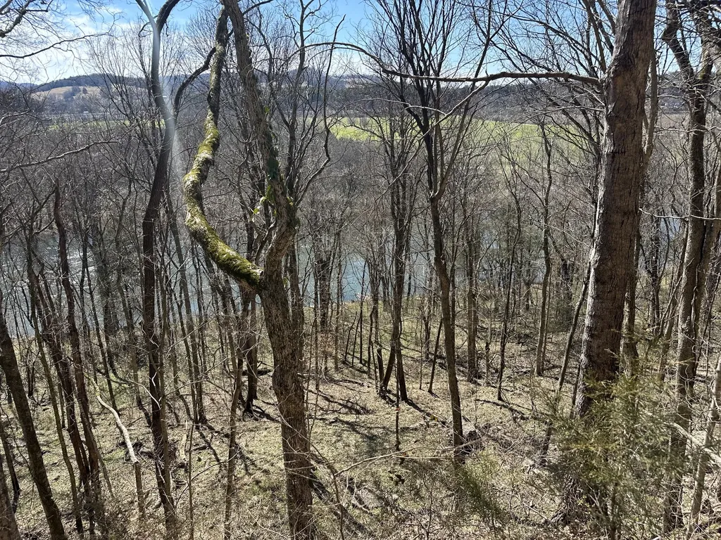0 Ben Gentry Lane Elmwood TN 38560