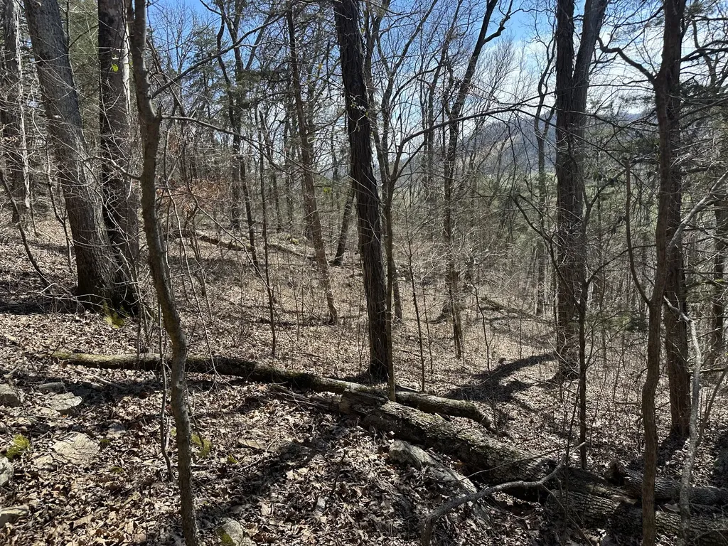 0 Ben Gentry Lane Elmwood TN 38560