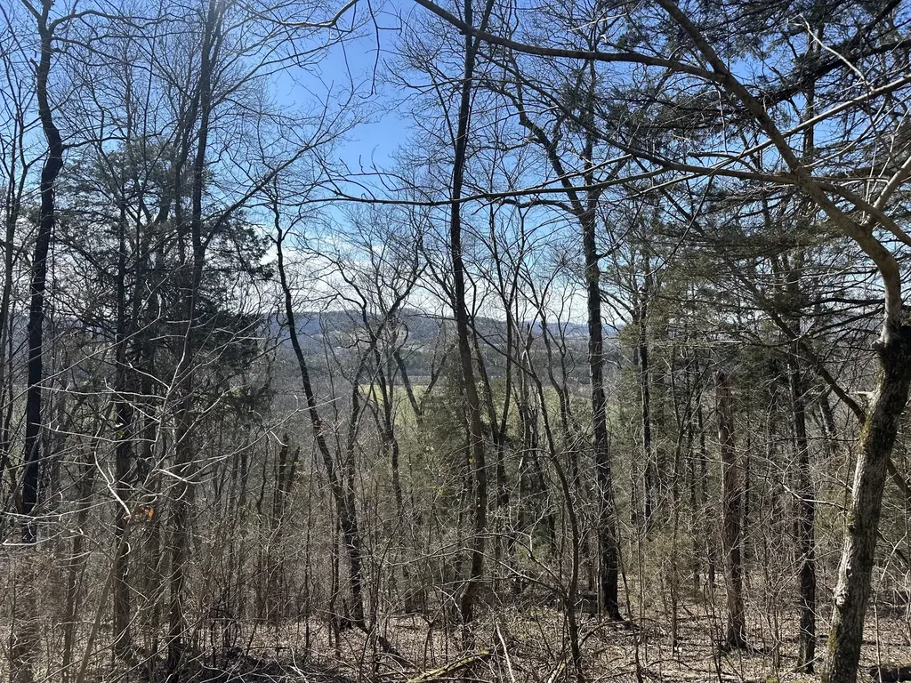 0 Ben Gentry Lane Elmwood TN 38560