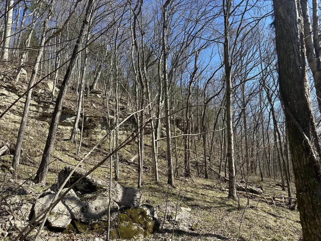 0 Ben Gentry Lane Elmwood TN 38560