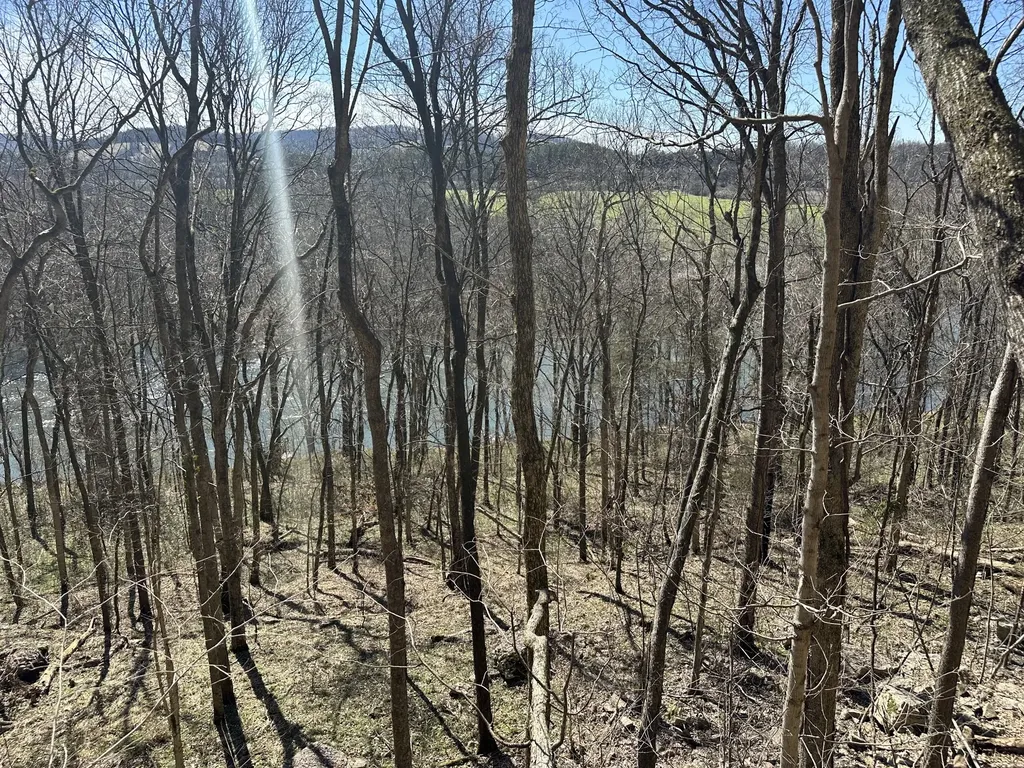0 Ben Gentry Lane Elmwood TN 38560
