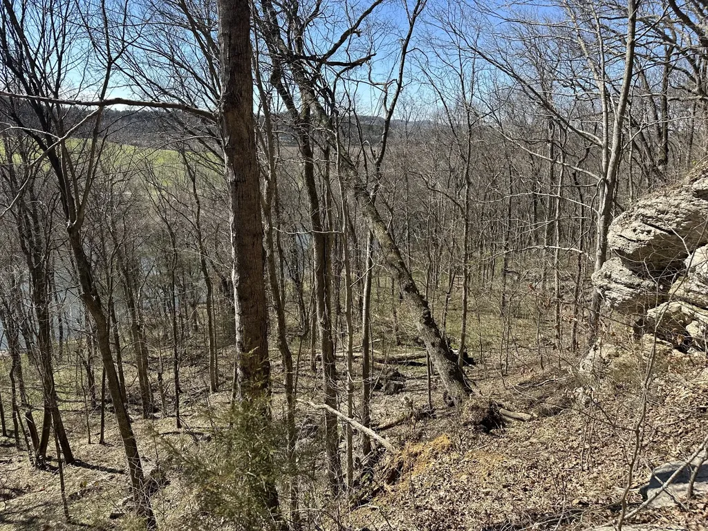 0 Ben Gentry Lane Elmwood TN 38560