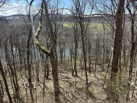 0 Ben Gentry Lane Elmwood TN 38560