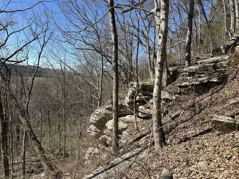 0 Ben Gentry Lane Elmwood TN 38560