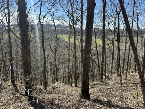 0 Ben Gentry Lane Elmwood TN 38560