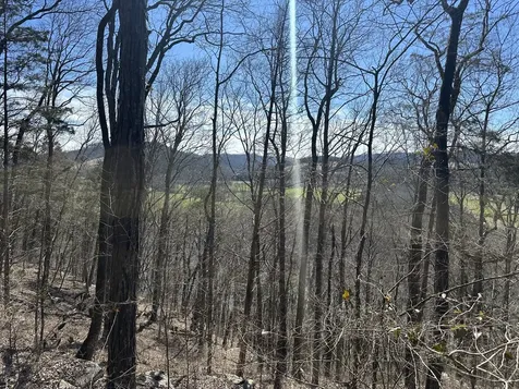 0 Ben Gentry Lane Elmwood TN 38560