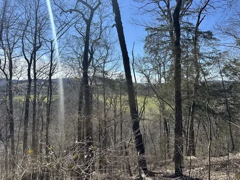 0 Ben Gentry Lane Elmwood TN 38560